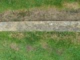 image of grave number 800879